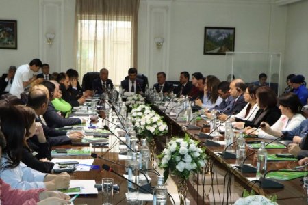 ��ɨҲӢ � ��Ҳ������ ����� �������. ��� ������� ��� �� ������ ��������� �����������ӣ �������� ���